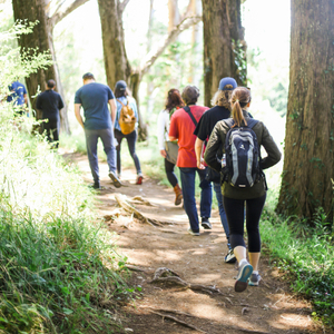 The “Where The Heck Are We?” Walking Clubs Of America