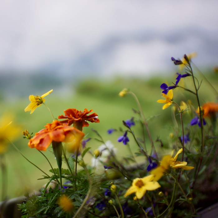 New World: The World Has Not Changed, It Is New